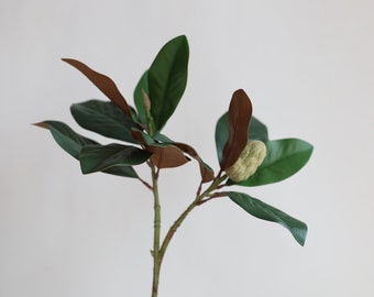 May include: A single stem of artificial magnolia leaves with a brown underside and a green top. The leaves are arranged in a cluster with a small green bud at the top.