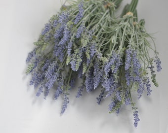 Può includere: Un mazzo di fiori di lavanda con fiori viola e steli verdi.
