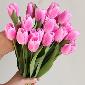 May include: A bouquet of pink tulips with green stems and leaves.