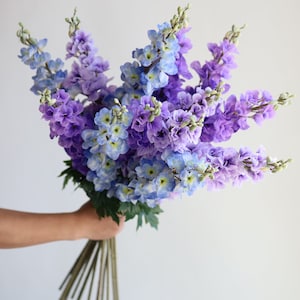 31.5" Real Touch Artificial Delphinium Blossom Branch, Blue Purple Spring Flowers, DIY Floral/Wedding/Home/Holiday Decoration, Gifts for Her