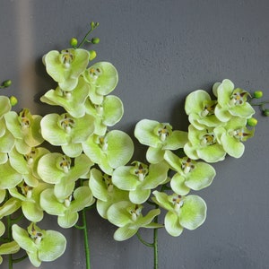 Green Orchids, Real Touch Flowers Phalaenopsis, True Touch Artificial Light Green Orchids, DIY Silk Wedding Bouquets, Wedding Centerpieces