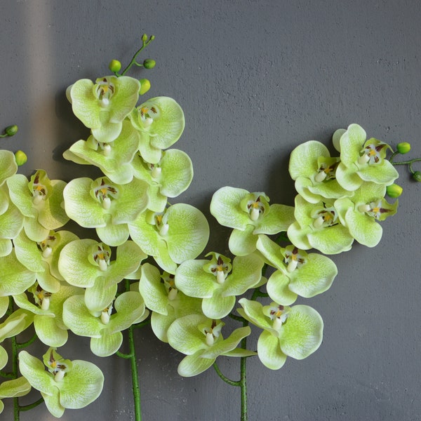 Orchidee verdi, fiori vero tocco Phalaenopsis, orchidee verdi di luce artificiale true touch, bouquet da sposa in seta fai-da-te, centrotavola nuziali
