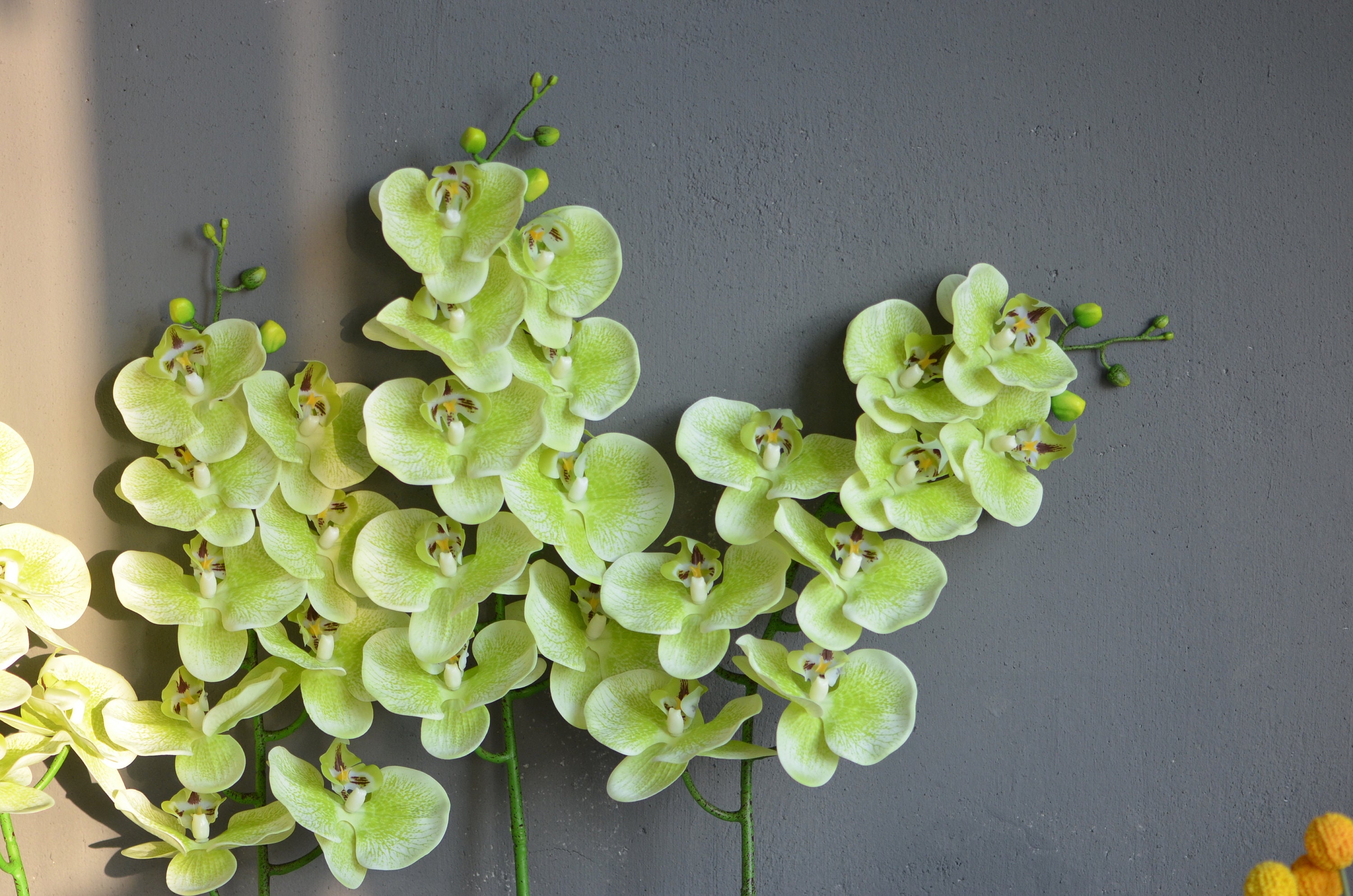 Green Orchid Etsy UK