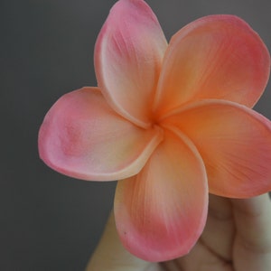 Light Coral Frangipani Plumerias Natural Real Touch Blumen Blütenköpfe DIY Kuchendekoration und Hochzeitssträuße