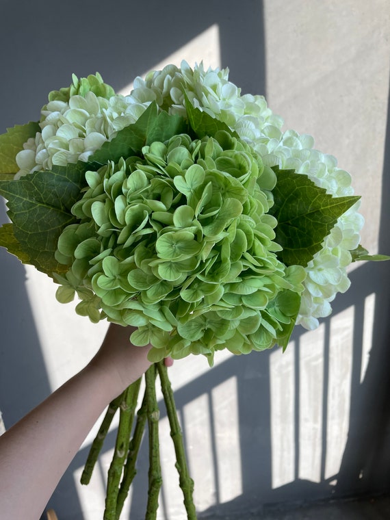 20 Real Touch enorme tallo verde de hortensia flor - Etsy España 20 Real Touch enorme tallo verde de hortensia flor - Etsy España