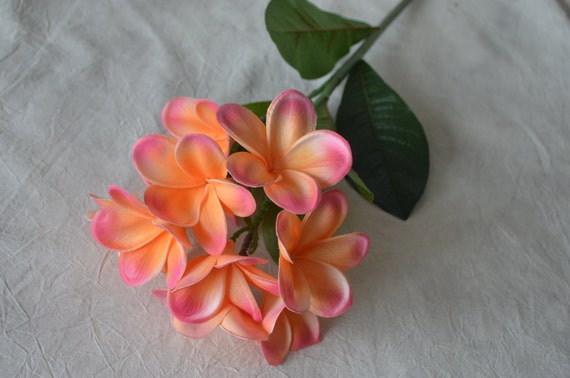 Bouquet de Rose en Soie Synthétique Frangipani Tige Artificielle Jaune Fleurs Blanches