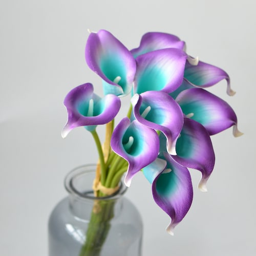 10 Picasso Teal Blue Calla Lilies Real Touch Flowers DIY Silk - Etsy
