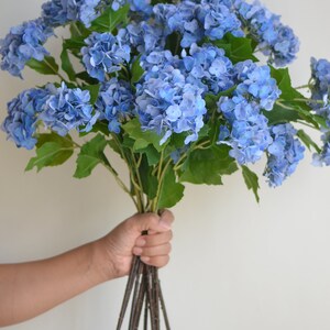 May include: A bouquet of blue hydrangeas with green leaves, held in a hand. The stems are brown and woody.