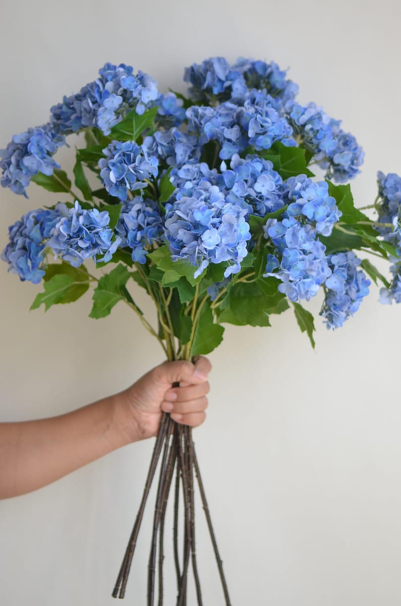May include: A bouquet of blue hydrangeas with green leaves, held in a hand. The stems are brown and woody.