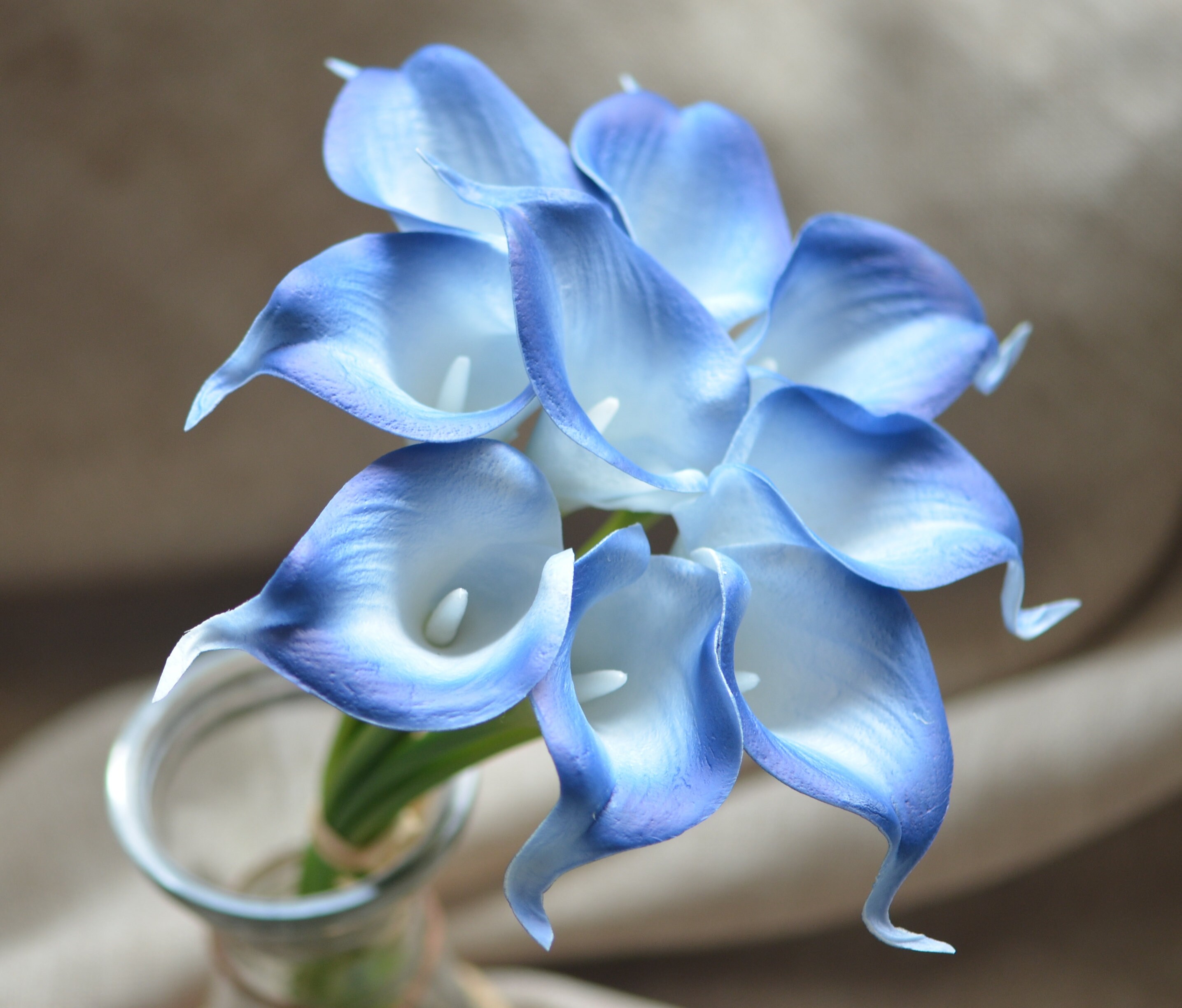 Knstliche Calla-Lilie Topfpflanze Samt-Blte  Realistische Deko Fr  Zuhause & Bro (blau)