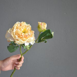 May include: A single stem of artificial flowers with a large, open, peach-colored flower and a smaller, closed bud. The stem has green leaves.