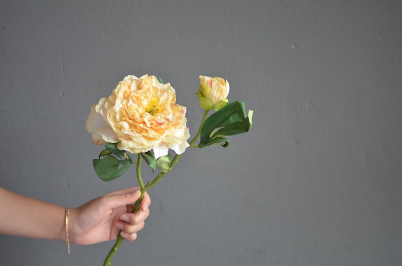 May include: A single stem of artificial flowers with a large, open, peach-colored flower and a smaller, closed bud. The stem has green leaves.