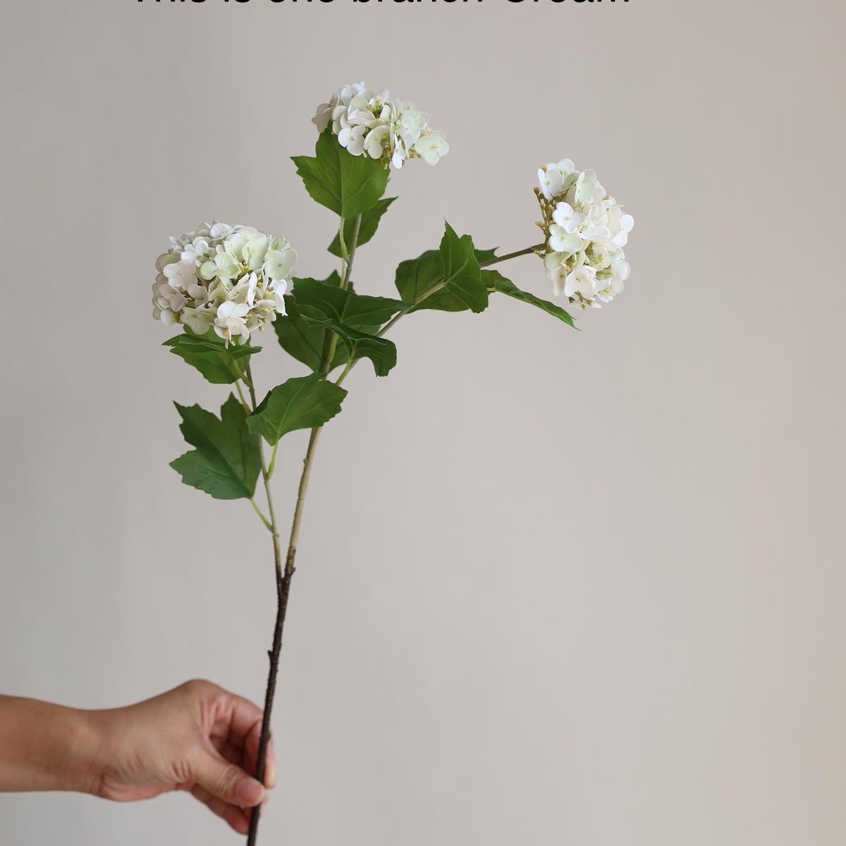 Etsy Real Touch Faux Snowball Flower: Cream & Green Real Touch Flower Stems