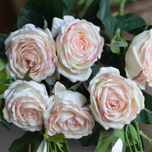 Light Pink Roses Real Touch Medium Roses DIY Wedding Etsy