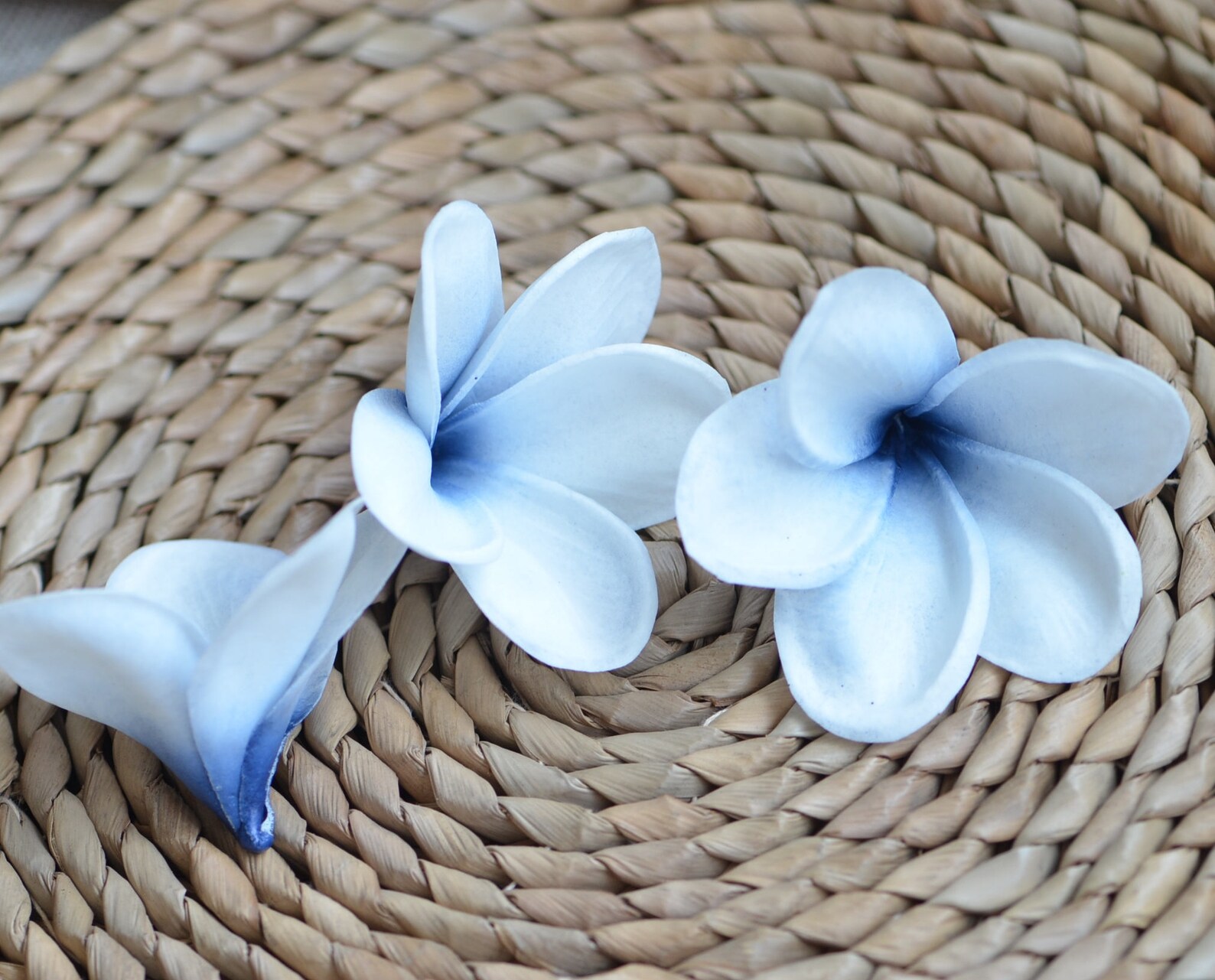 Navy Blue Center Plumerias Natural Real Touch Flowers Etsy UK