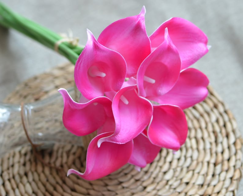Puede incluir: Un ramo de vibrantes calas rosas con centros blancos. Las flores est&aacute;n agrupadas, con un tallo verde atado con hilo. El arreglo se coloca sobre un fondo neutro, lo que sugiere un entorno natural.