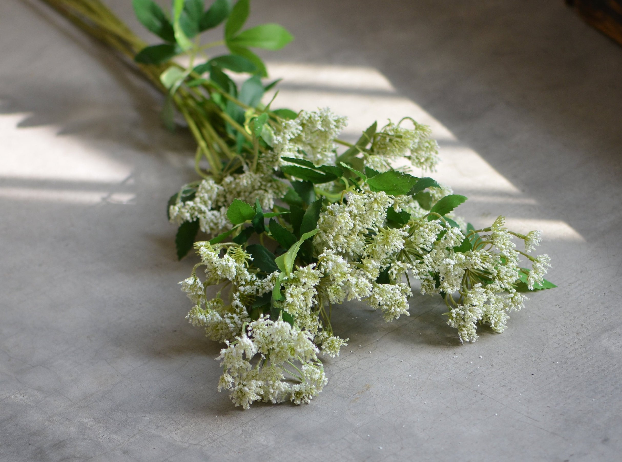 White filler flowers deals