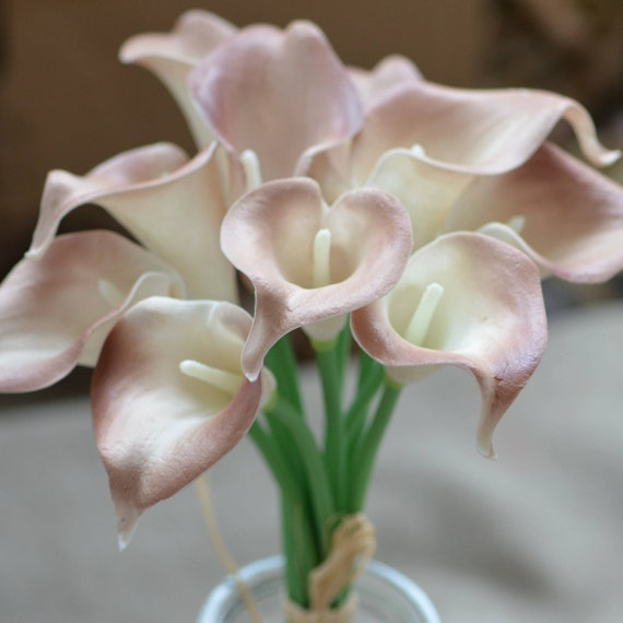 9 lirios de cala marrón pálido Real Flores DIY de - España