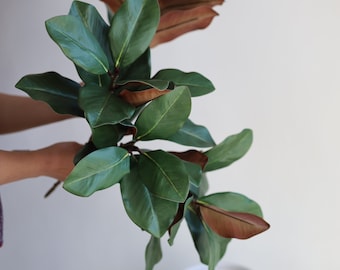 Faux Natural Touch Magnolia Leaf Branch- Green, High Quality Artificial Plant, DIY Office/Wedding/Home Decoration/Gifts for Mum
