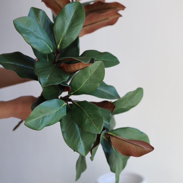 Faux Natural Touch Magnolia Leaf Branch- Green, High Quality Artificial Plant, DIY Office/Wedding/Home Decoration/Gifts for Mum