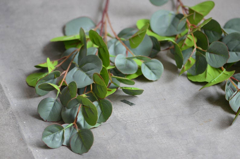 Round Eucalyptus Artificial Real Touch Eucalyptus Leaves Etsy