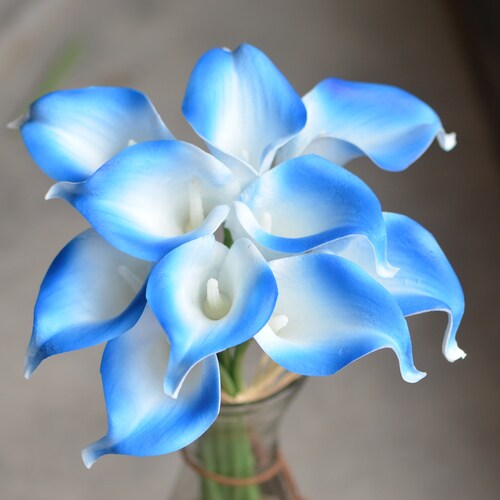 10 Picasso Teal Blue Calla Lilies Real Touch Flowers DIY Silk - Etsy