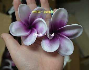 プルメリア　Purple Serendipity 🇺🇸 Purple Serendipity 💜 (Pale Lavender) Plumeria MID-CUTTING
