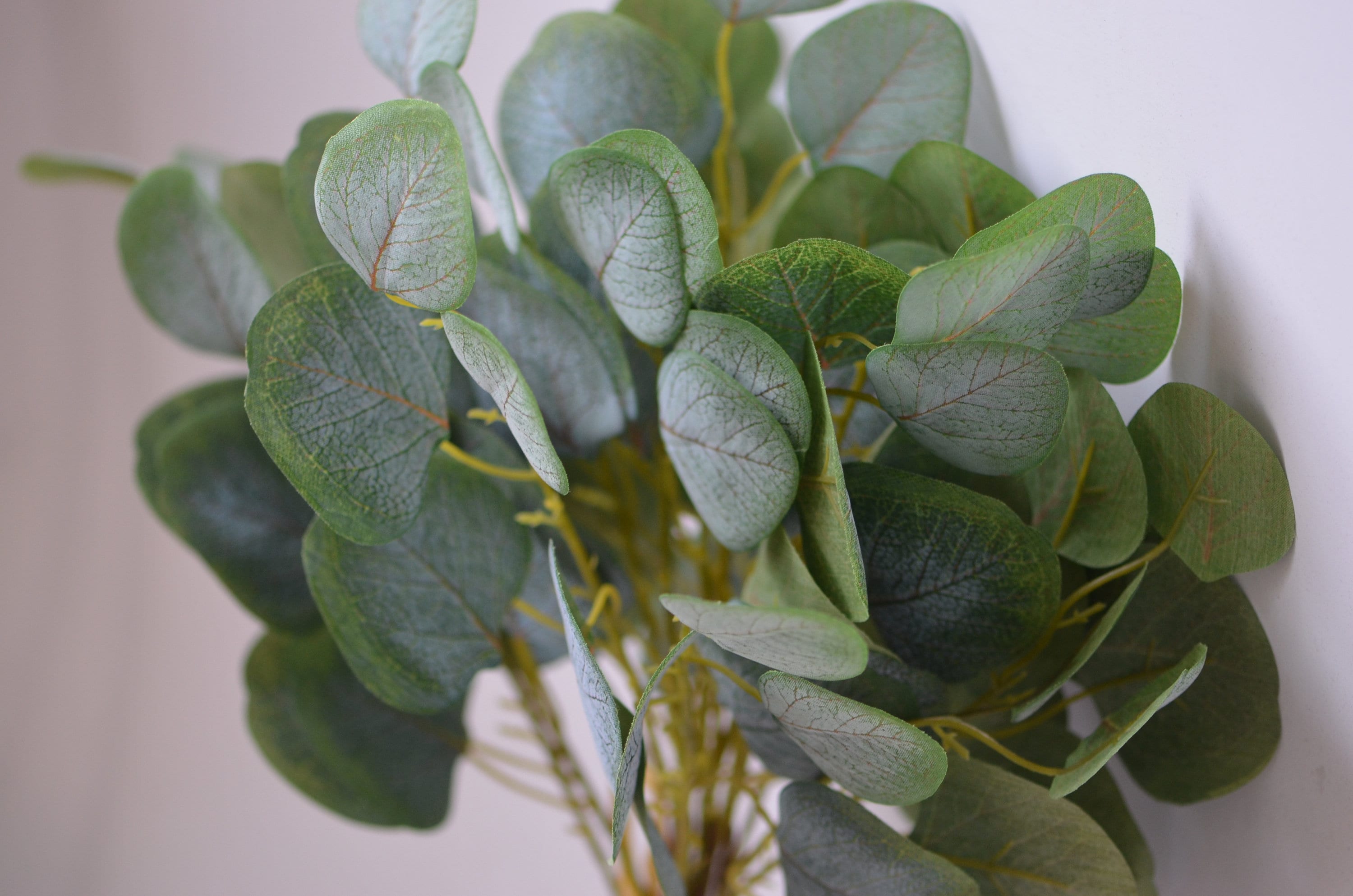 Silk Eucalyptus Bundles Artificial Eucalyptus Leaves Vintage Etsy