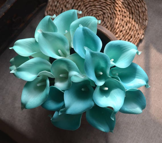 10 Turquoise Calla Lily Real Touch Calla Lilies Diy Wedding Etsy