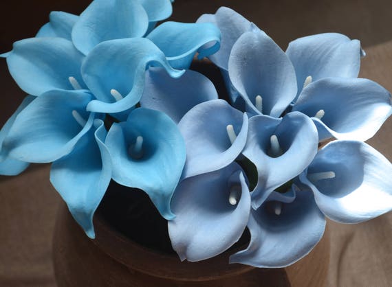 Malibu Blue Calla Lilies Real Touch Flowers Diy Silk Wedding Etsy