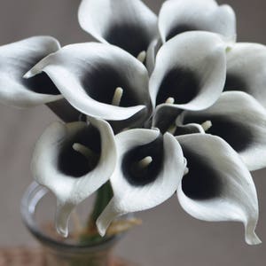 May include: A bouquet of white calla lilies with black centers. The flowers are arranged in a vase.