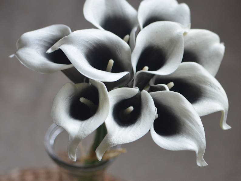 May include: A bouquet of white calla lilies with black centers. The flowers are arranged in a vase.