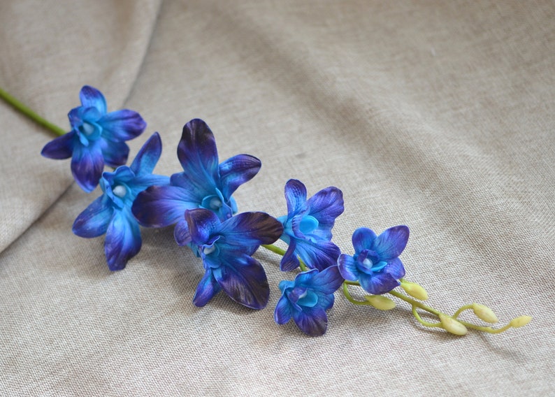 Dark Turquoise Purple Orchids Real Touch Thailand Orchids Diy Centerpieces Bridal Bouquets Wedding Flowers Kitchen Dining Home Living Kromasol Com