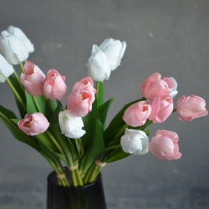 May include: A bouquet of pink and white tulips in a clear glass vase. The tulips are arranged in a loose, natural style.