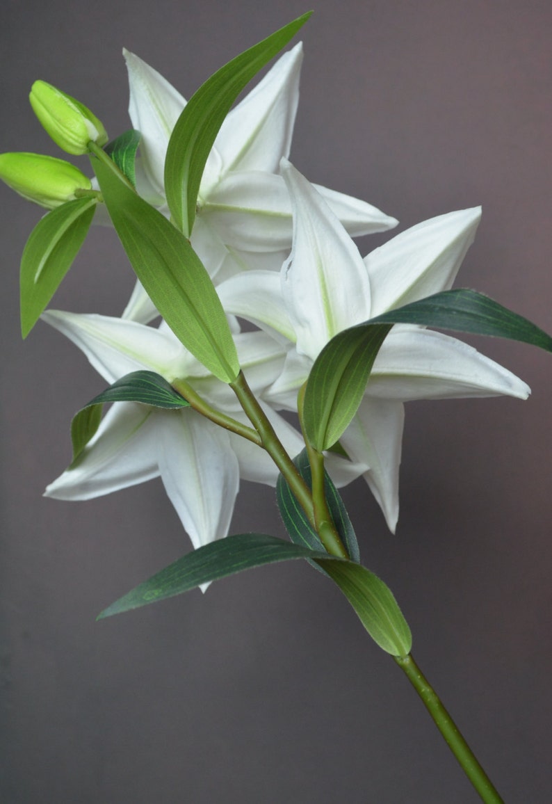 Natural Real Touch White Tiger Lily Long Stem DIY Wedding Etsy