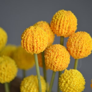 Yellow Balls Flowers, Artificial Craspedia Flowers, Yellow Balls Fillers, Wild Yellow Flowers, Vintage Greenery Centerpieces