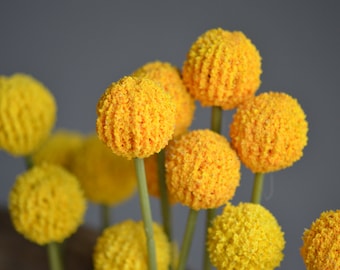 Yellow Balls Flowers, Artificial Craspedia Flowers, Yellow Balls Fillers, Wild Yellow Flowers, Vintage Greenery Centerpieces