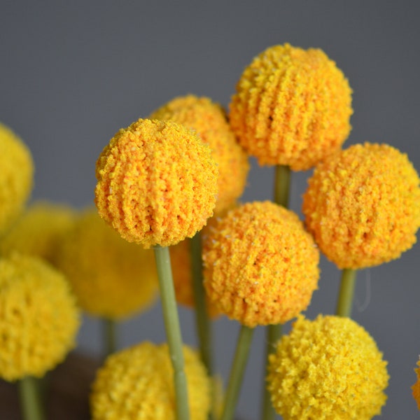 Yellow Balls Flowers, Artificial Craspedia Flowers, Yellow Balls Fillers, Wild Yellow Flowers, Vintage Greenery Centerpieces