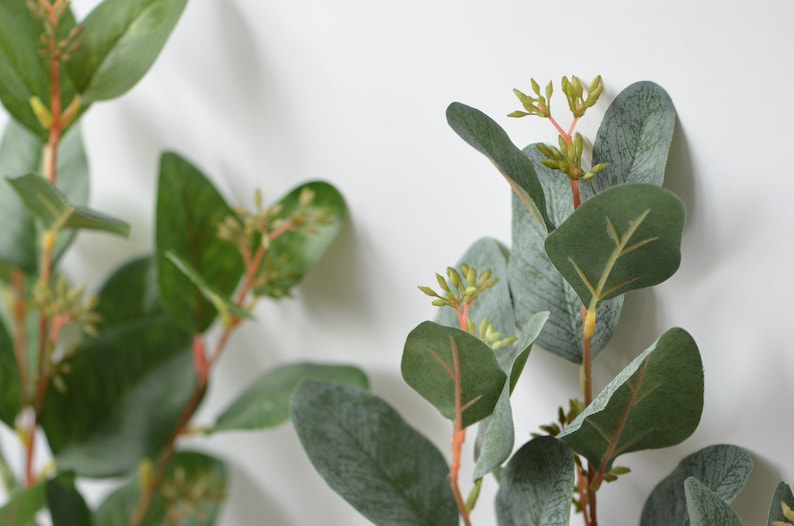 Pu&ograve; includere: Primo piano di due rametti di eucalipto artificiale con foglie verdi e piccoli boccioli verde chiaro.