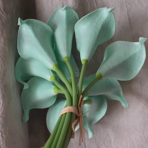 May include: A bouquet of light blue calla lilies with green stems tied together with twine.
