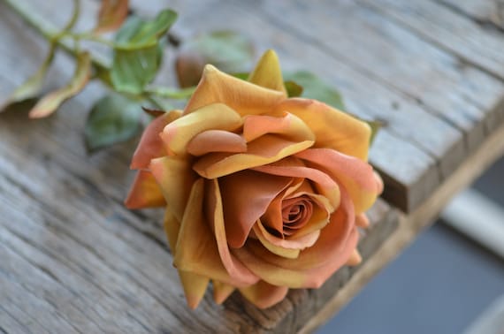 Fall Orange, Dark Brown Real Touch Fake Roses, Faux Terracotta Roses, DIY Florals|wedding/home Decorations | Gifts, DIY Bouquets/centerpiece - Etsy Fall Orange, Dark Brown Real Touch Fake Roses, Faux Terracotta Roses, DIY Florals|wedding/home Decorations | Gifts, DIY Bouquets/centerpiece - Etsy
