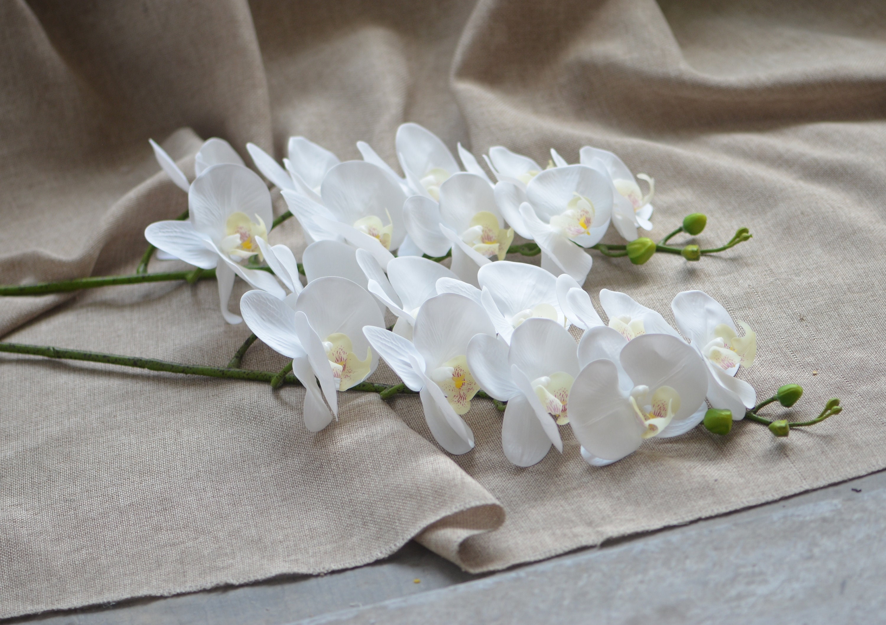 Orchidee artificiali di seta bianca Fiori Tè di loto Rosa Fiore