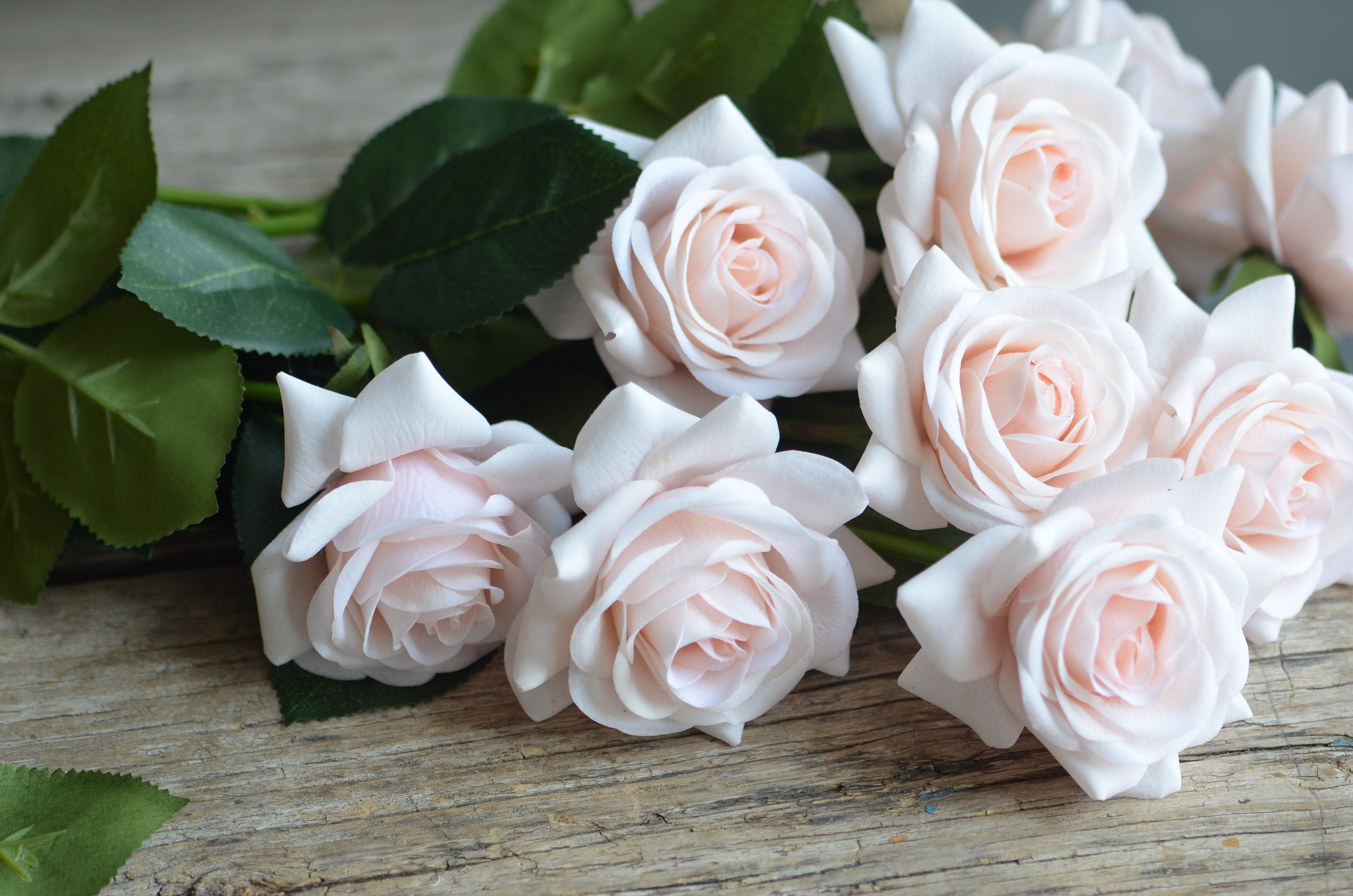 Pale Blush Pink Real Touch Roses