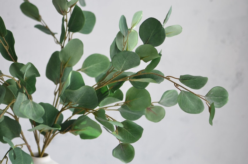 34 Artificial Silver Dollar Eucalyptus Branch Etsy