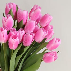 May include: A bouquet of pink tulips with green stems and leaves.