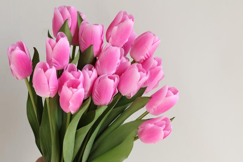 May include: A bouquet of pink tulips with green stems and leaves.