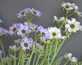 Real Touch White Purple Small Daisy Wildflowers, Faux White Small Filler Flowers, DIY Home Decor Table Centerpieces, Wedding Decor