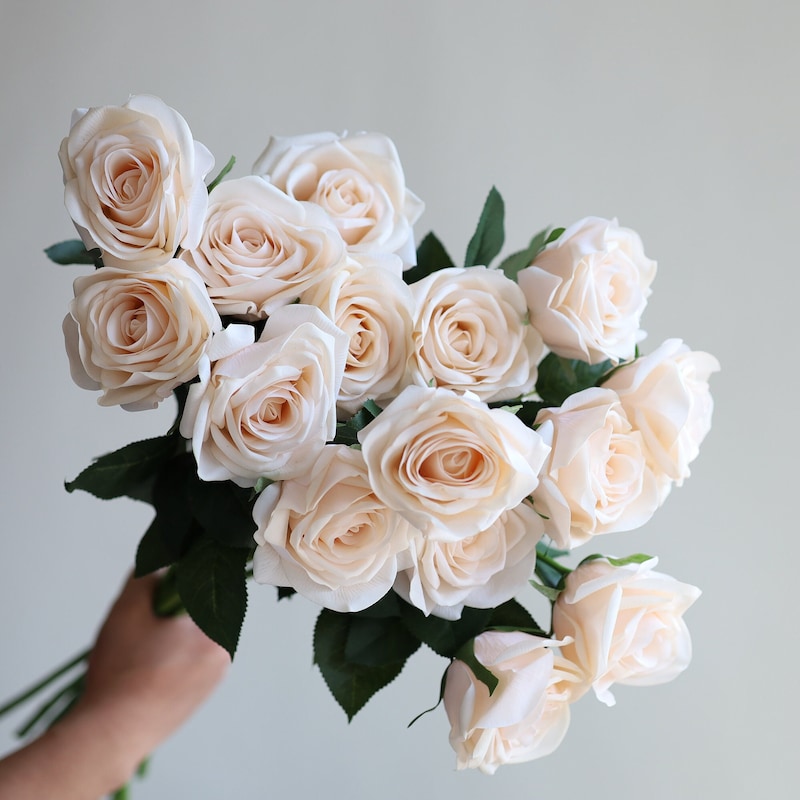 Nude Color Roses Nude Roses - Etsy New Zealand