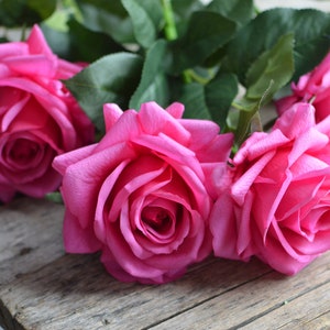 Evershine Rose Petals (300 Pcs), Fuchsia