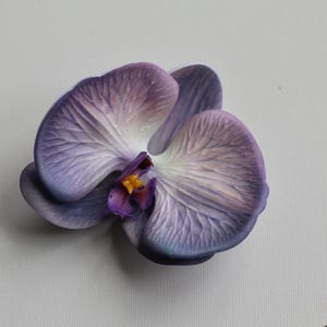 May include: A single purple orchid flower with a white center and yellow pollen. The flower has a delicate, textured appearance.